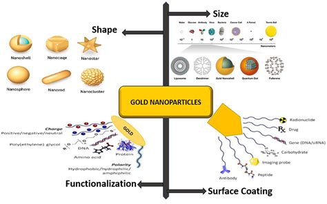  Inmunoglobulinas de Oro: ¿Las Nanoparticles que Revolucionarán la Industria Farmacéutica y Electrónica?