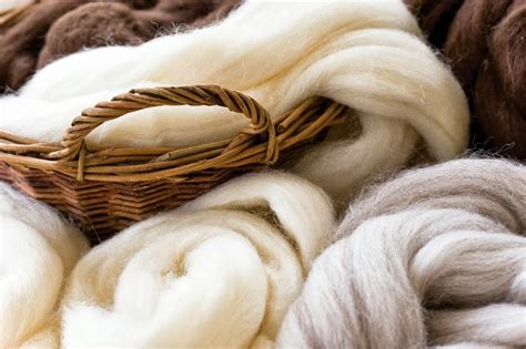 ¿Wool: Fibra Natural Versátil para Aplicaciones Textiles de Alta Calidad?